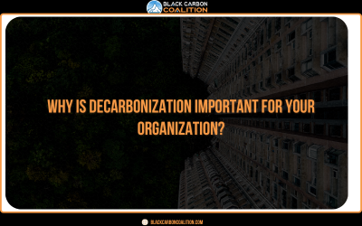 Why Is Decarbonization Important For Your Organization?