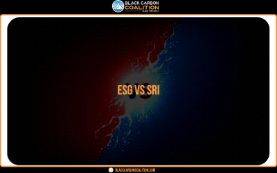 ESG vs SRI