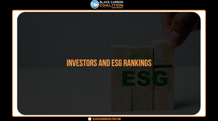Investors and ESG Rankings