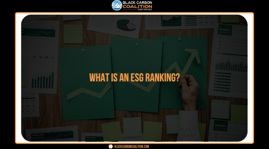 What is an ESG ranking?