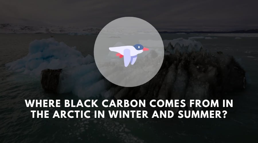 Where black carbon comes from in the Arctic in winter and summer?